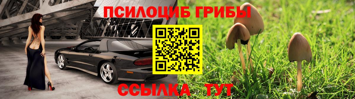 Галлюциногенные грибы Cubensis Кстово